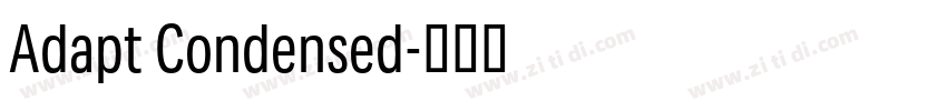 Adapt Condensed字体转换